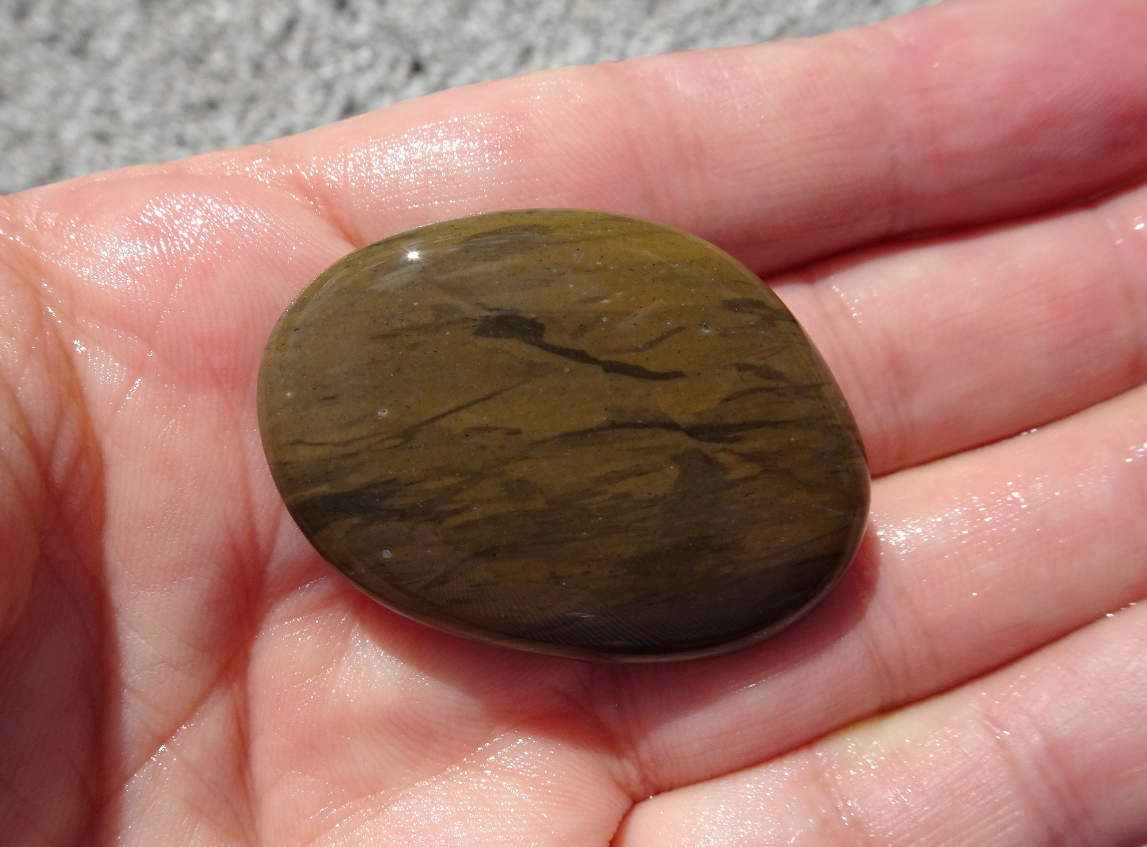Brown (with trace fossils).