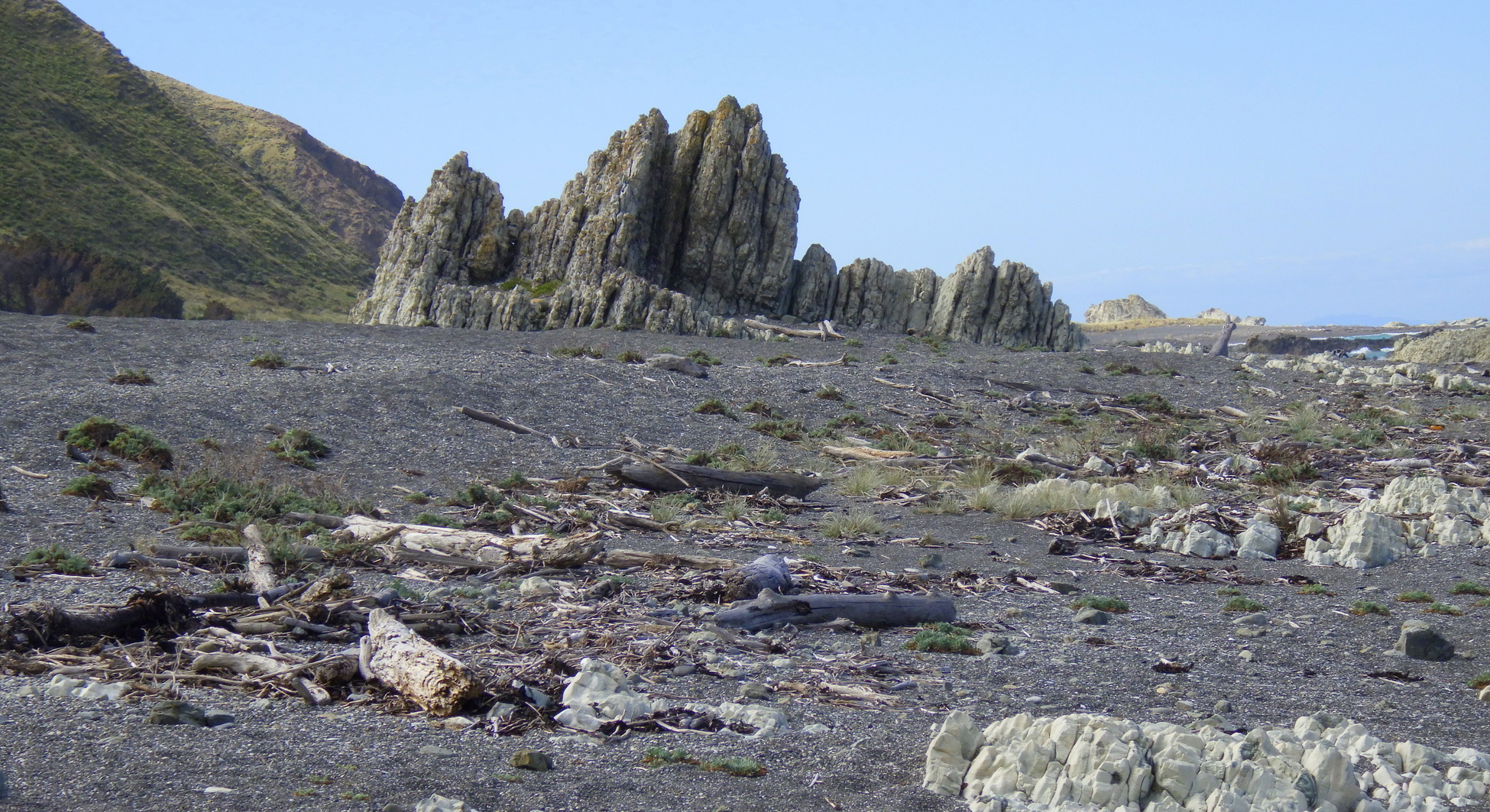 Jagged limestone outcrop. Chancet Rocks in distant background.