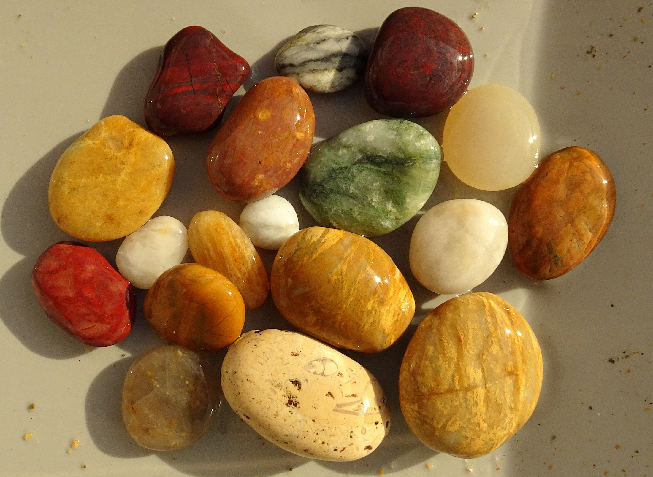 My 18 finds this afternoon.