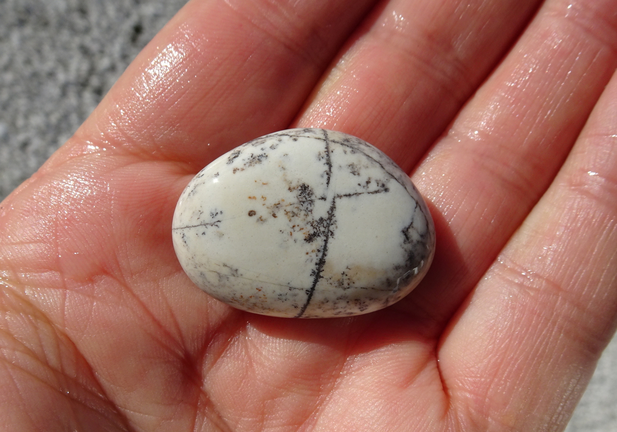 Dendritic stone.