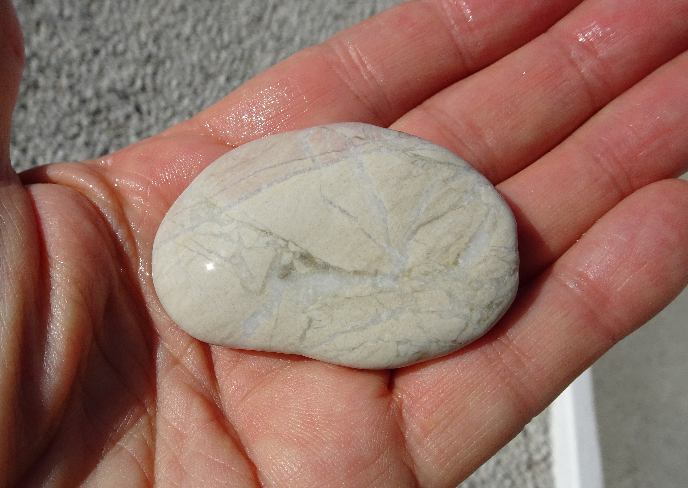 Brecciated limestone?