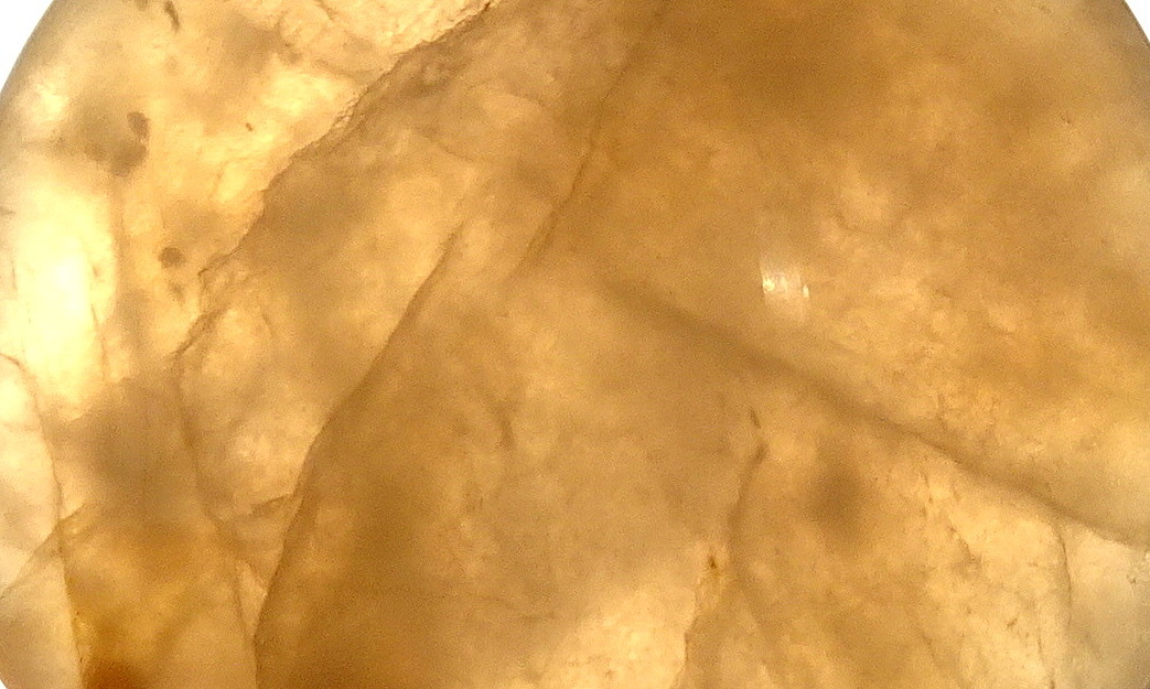 06bcc22
