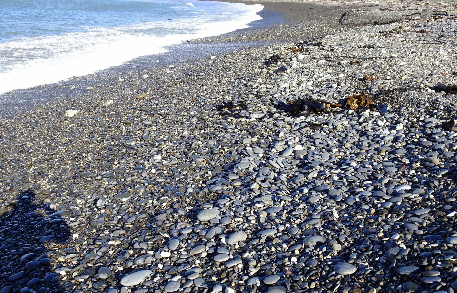 Ward Beach stones today - lots of good sized ones on the surface.