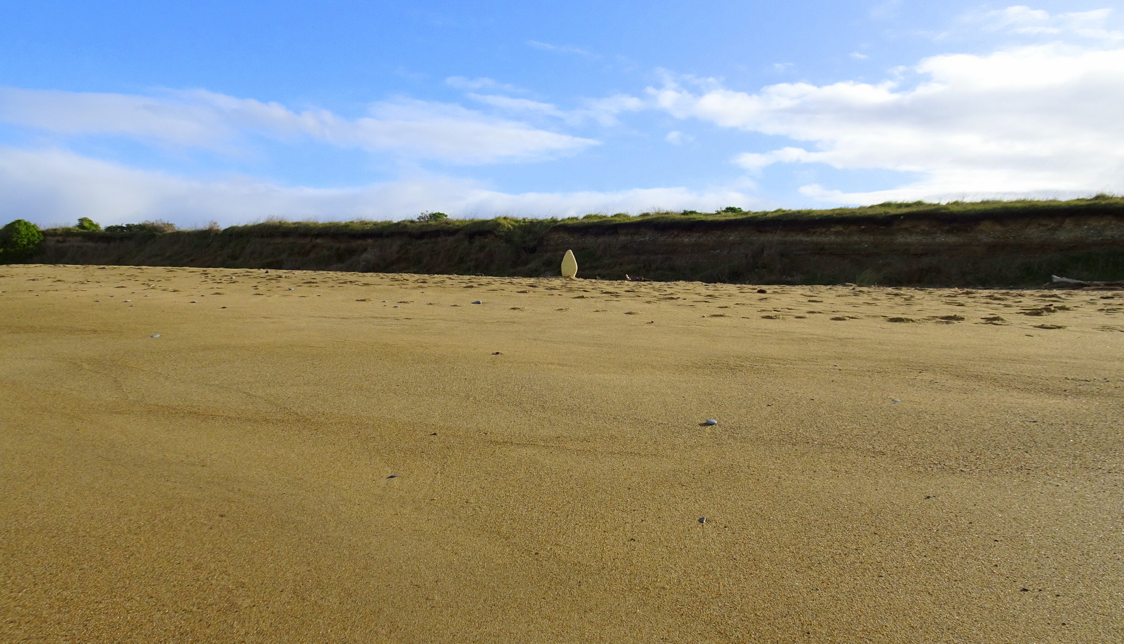Recently erected standing stone.