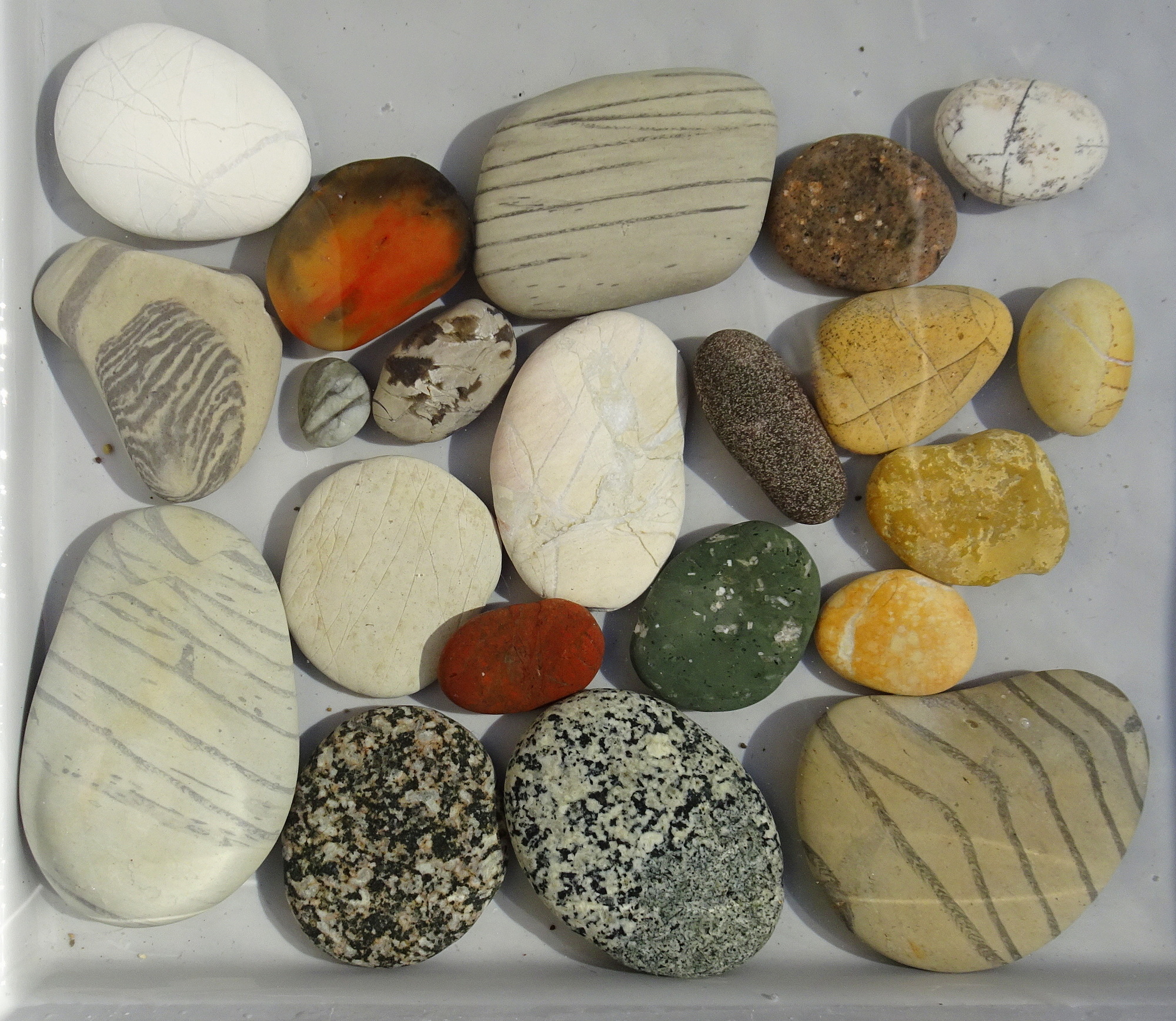 Today's collected 21.