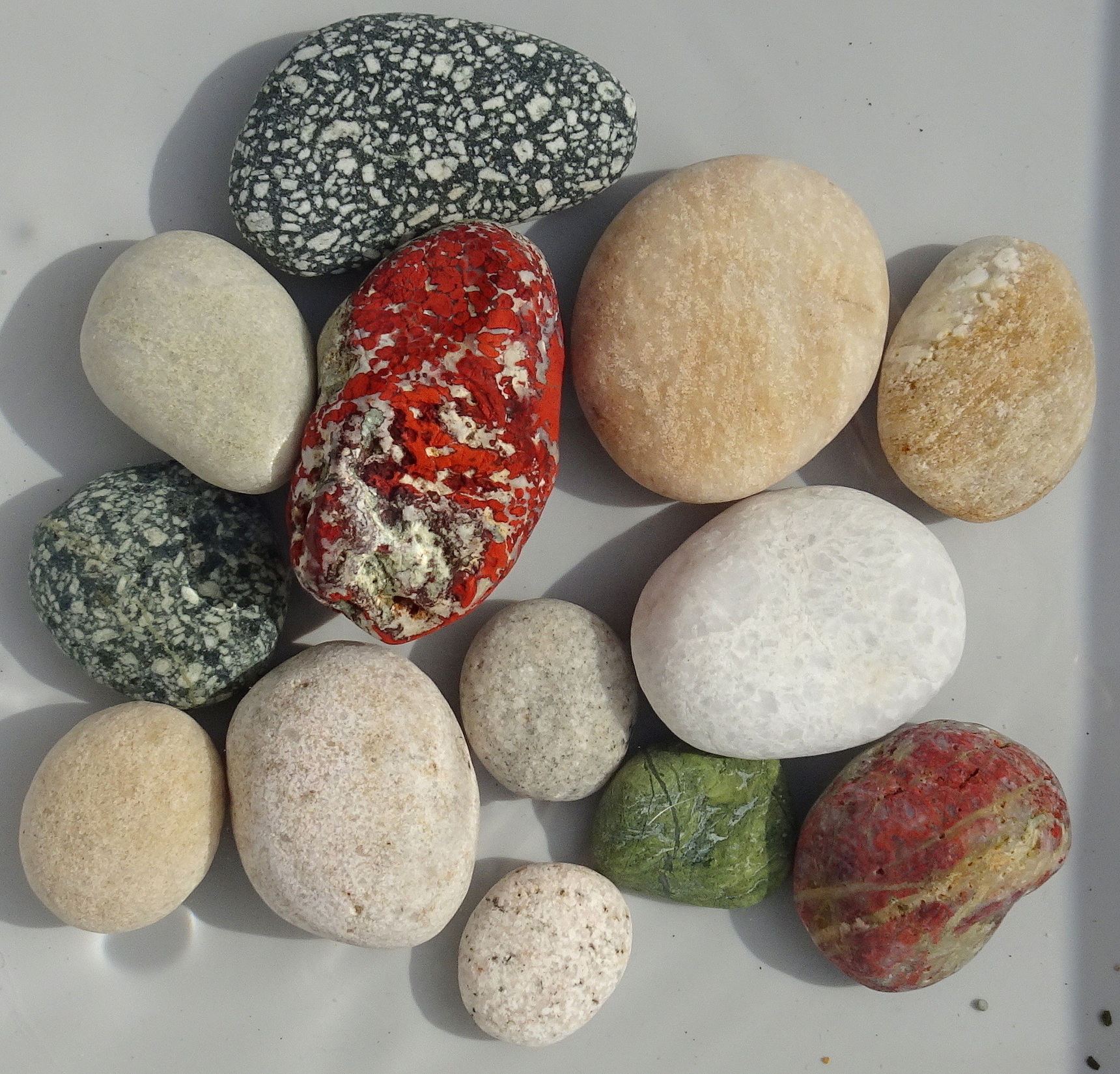 My 13 finds this afternoon.
