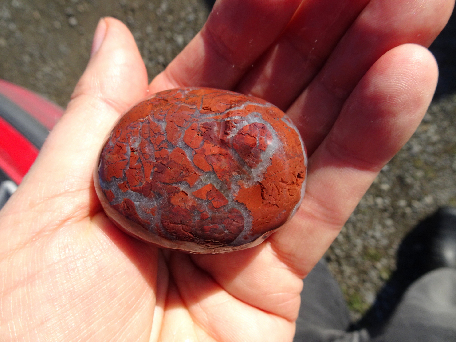 Brecciated jasper with quartz, Timaru South.