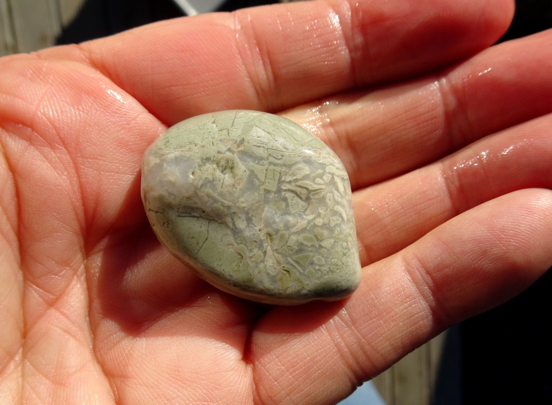 Small brecciated argillite.