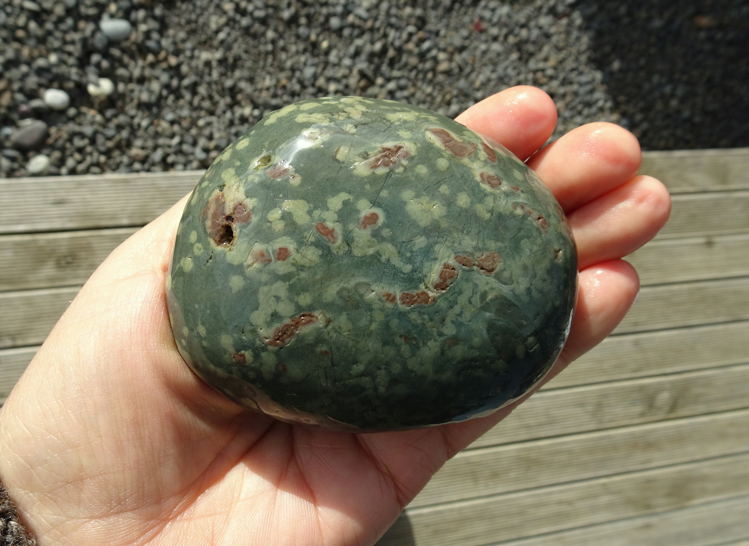 Spotted argillite, with trace fossils?