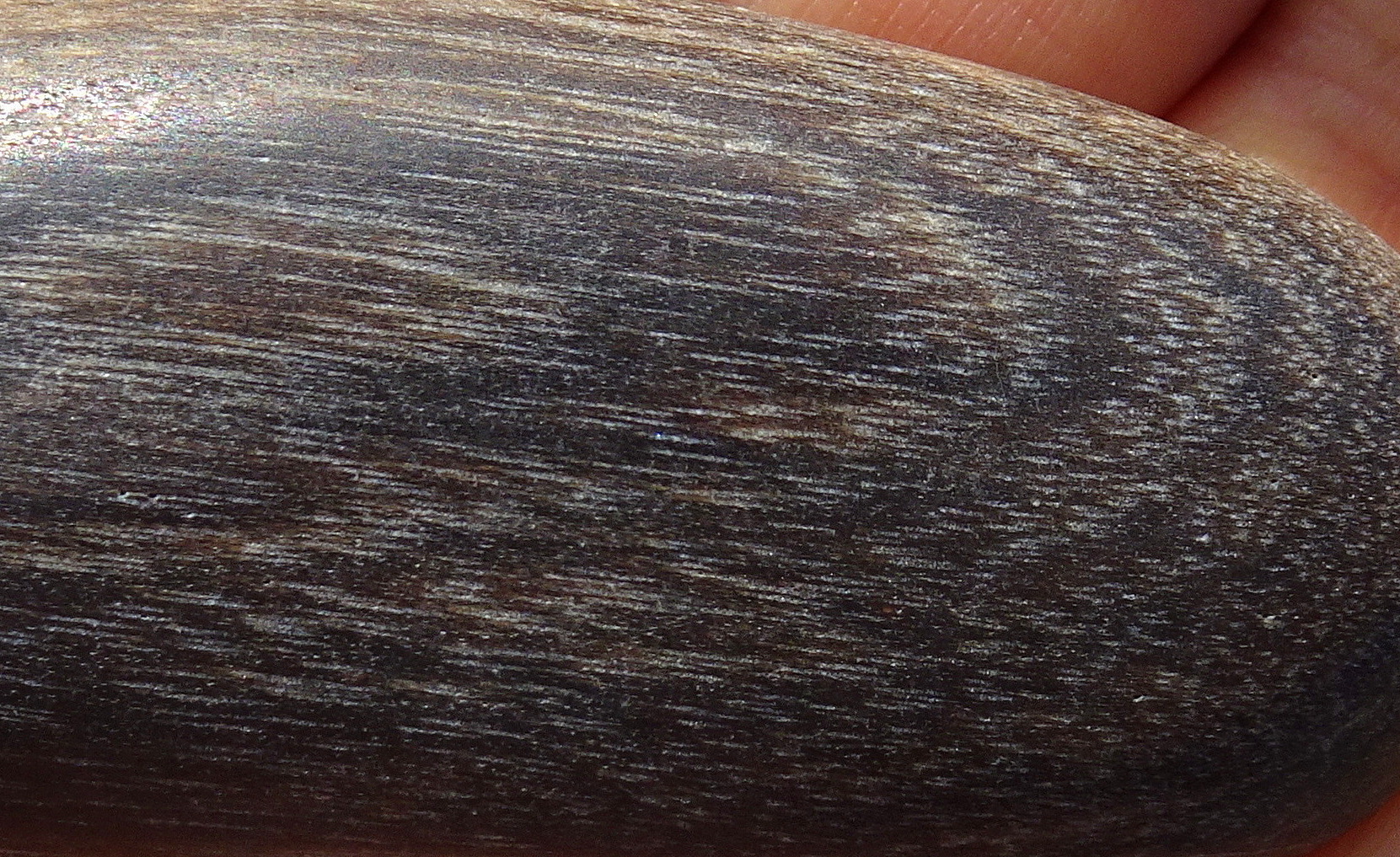 01dacc22