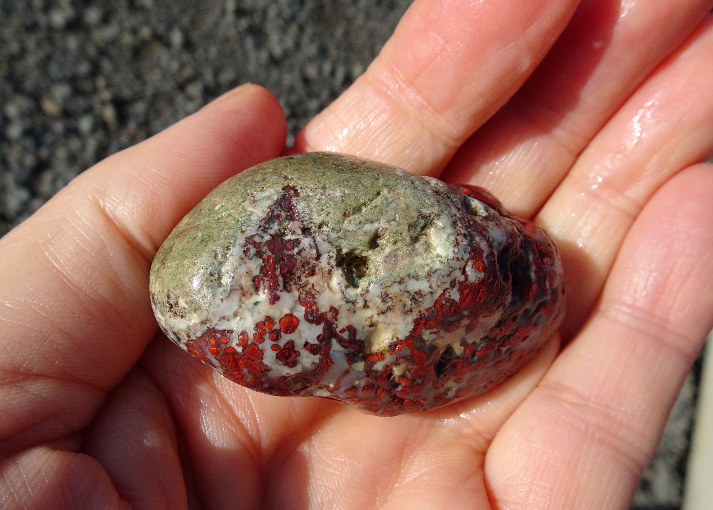 Poppy jasper from a third perspective.