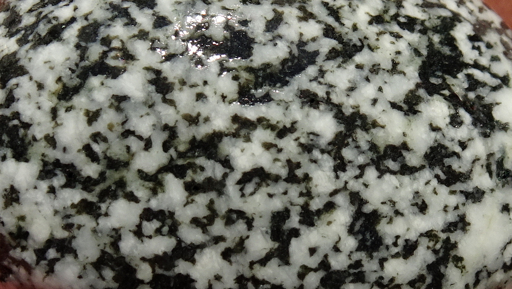 02cc22