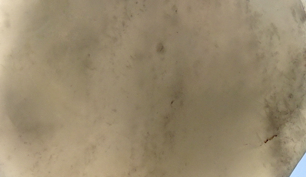 04ccc22