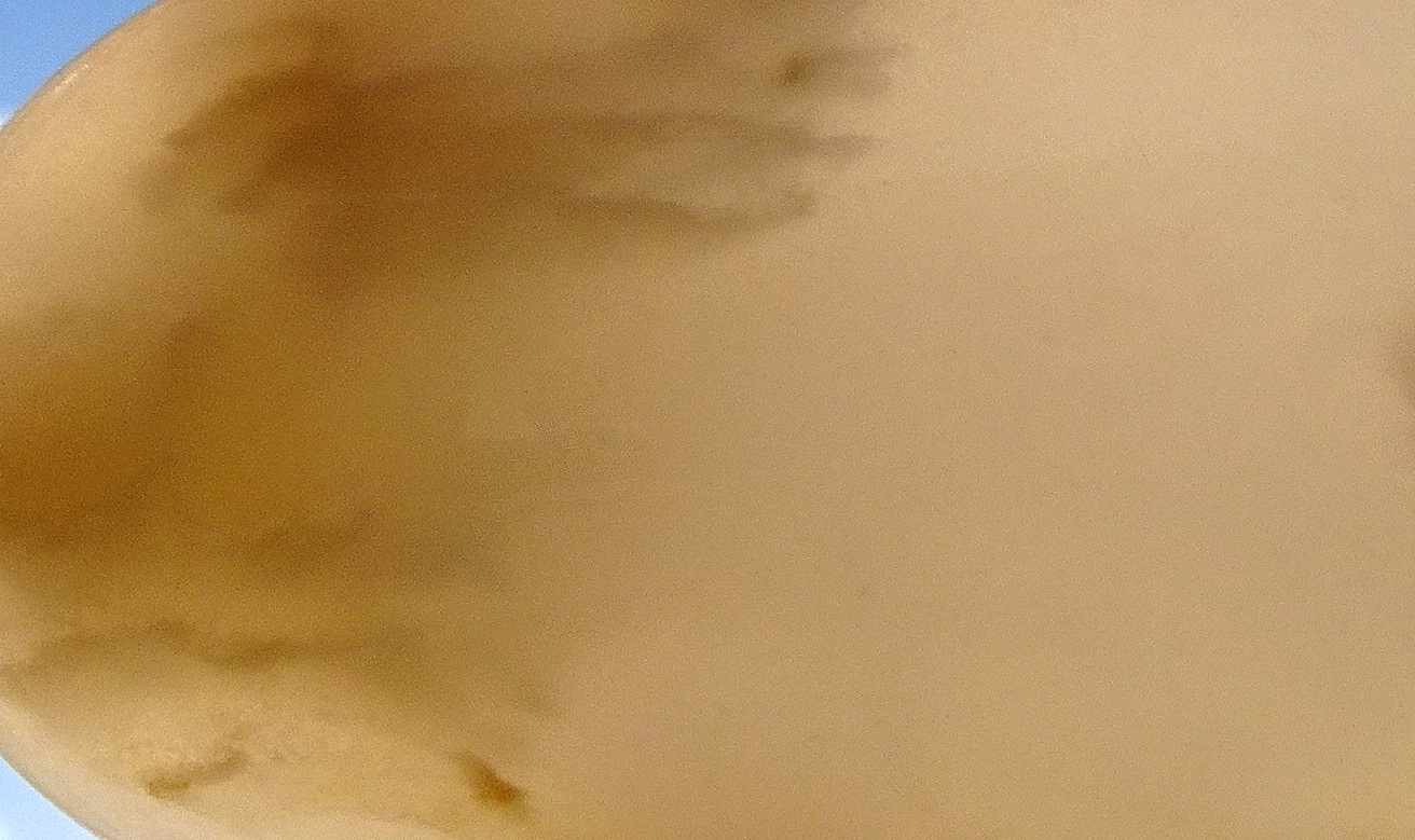 04scc22
