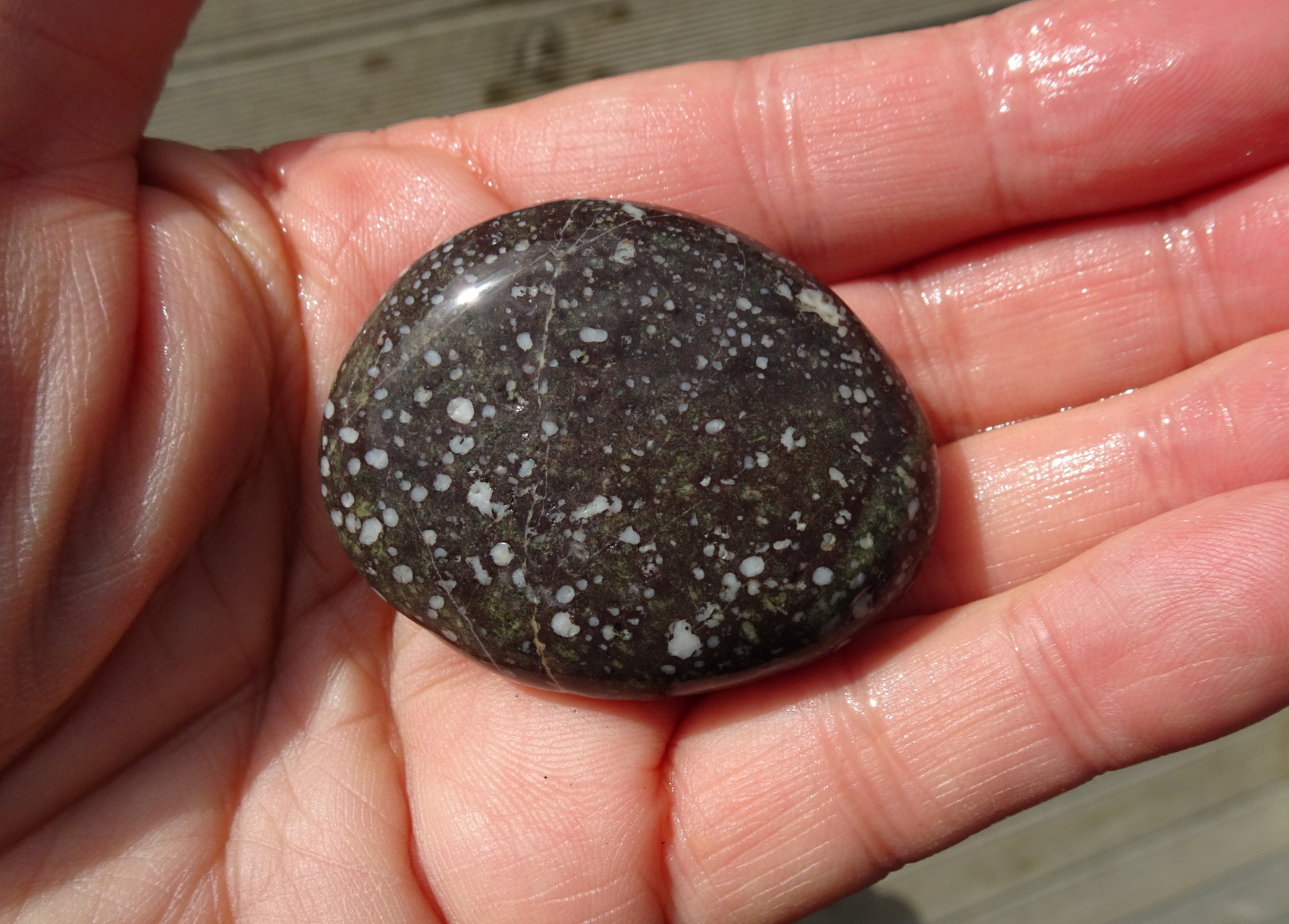 Amygdaloidal stone.