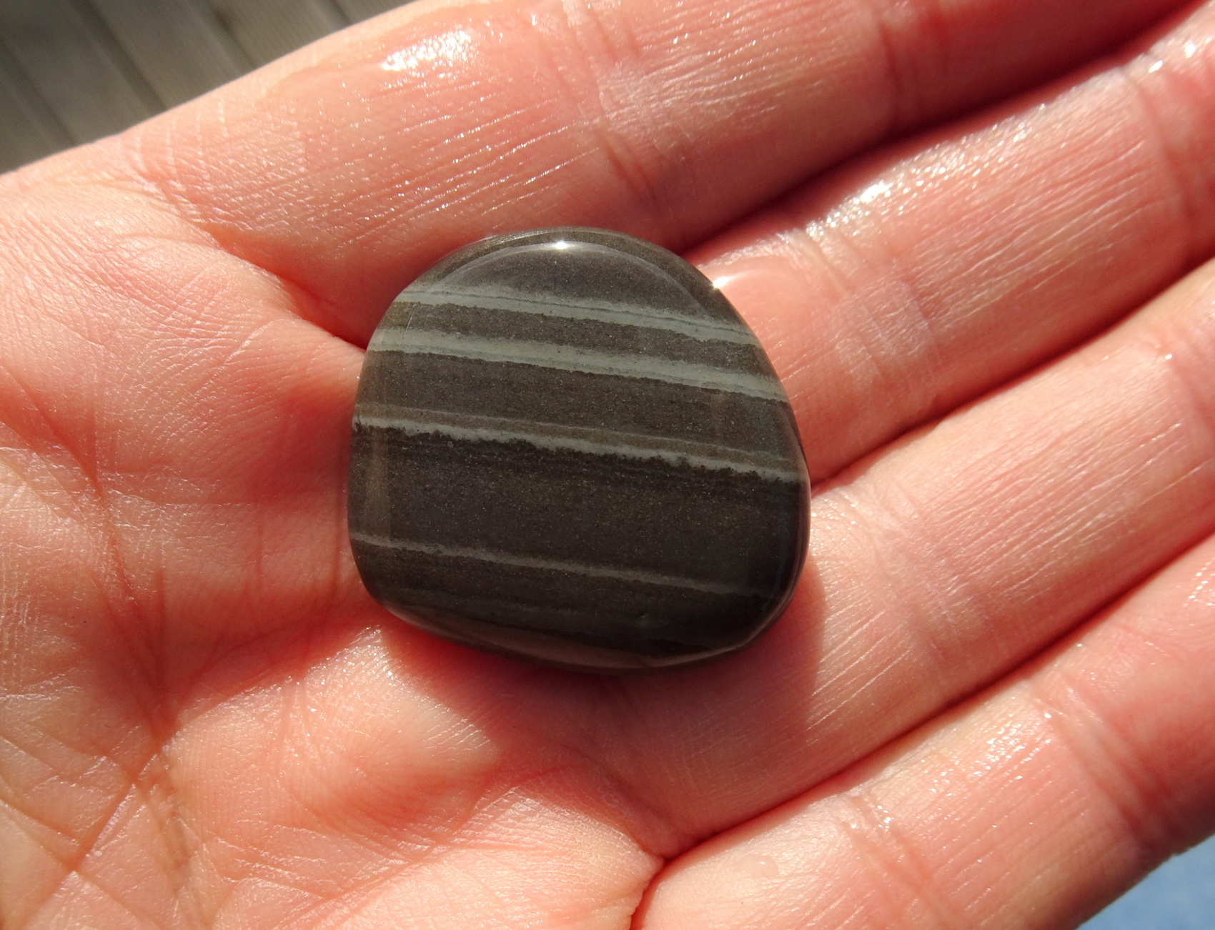 Banded argillite.