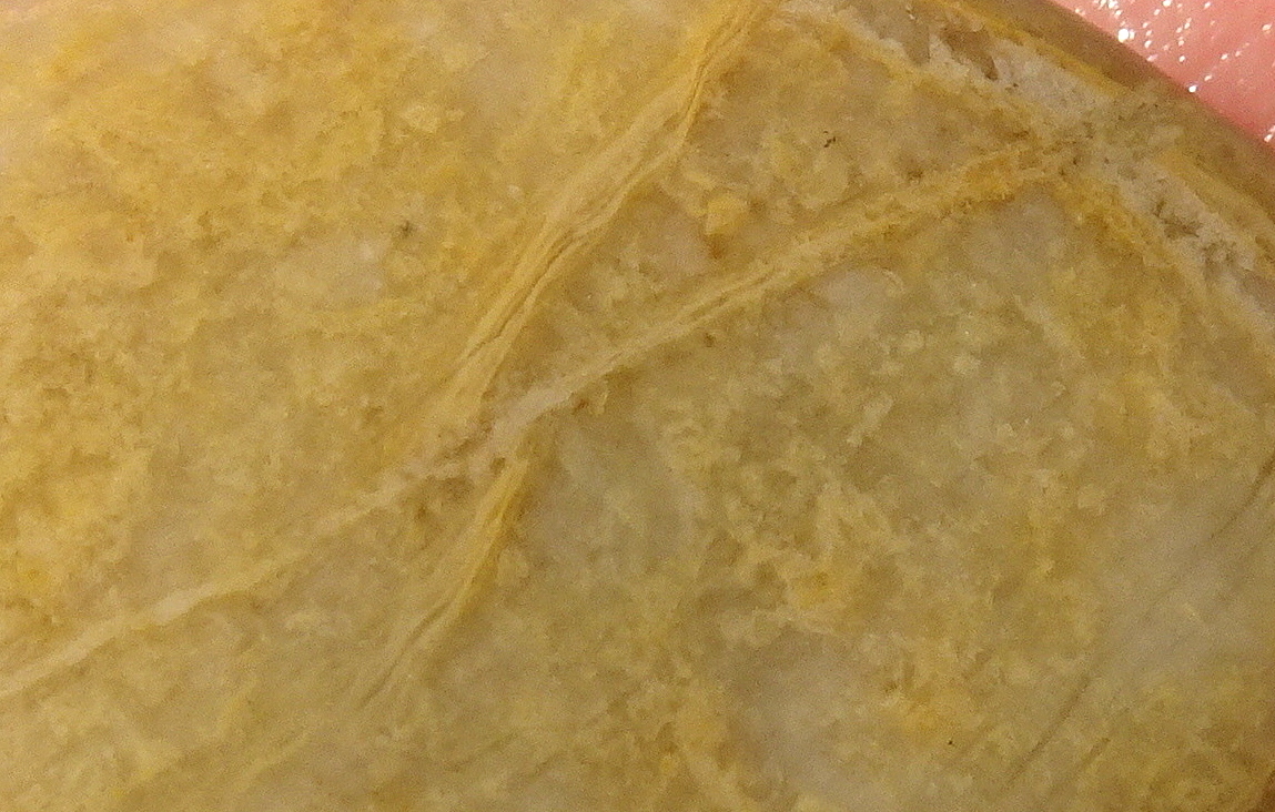 07bcc22