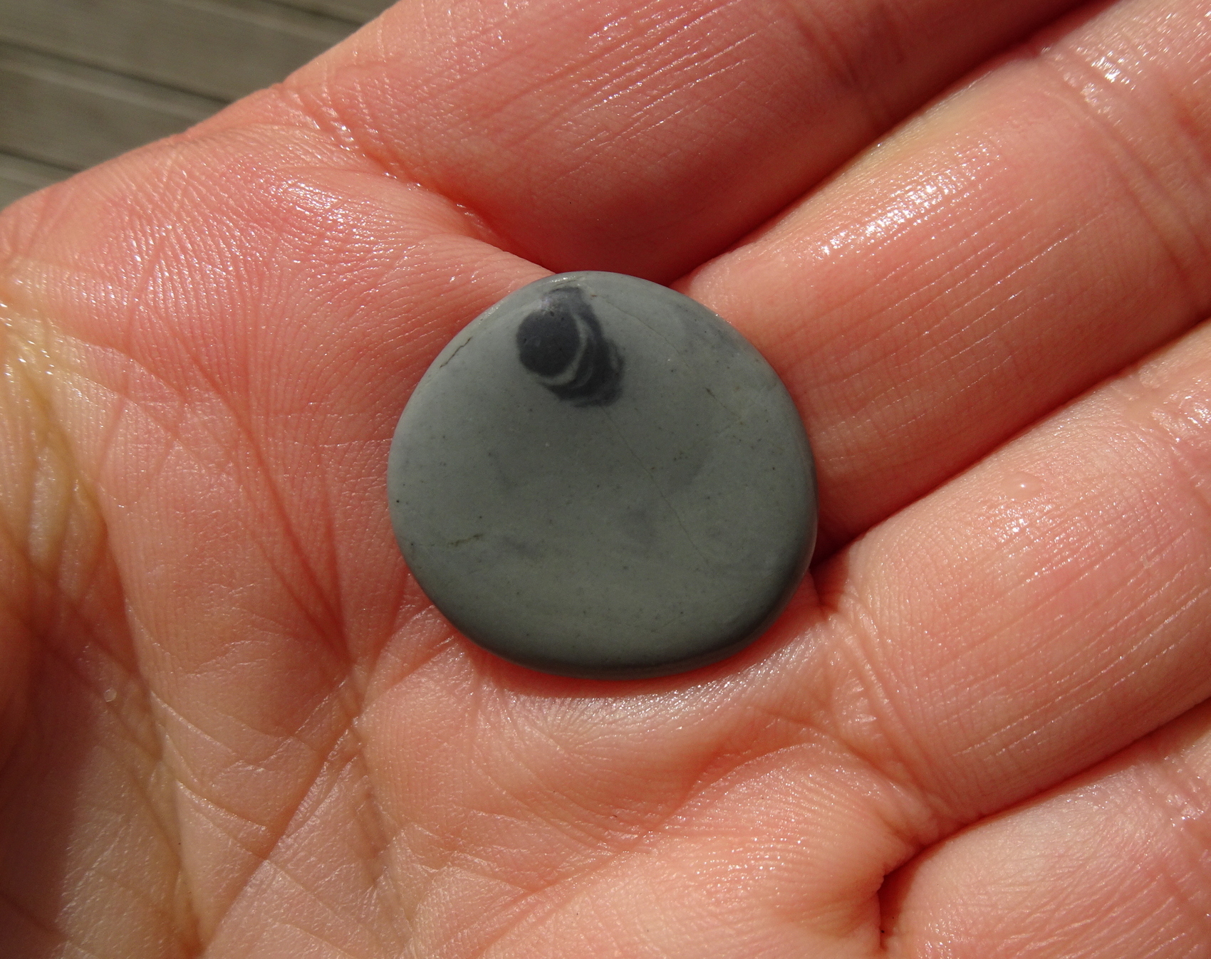 Small argillite stone with a small trace fossil.