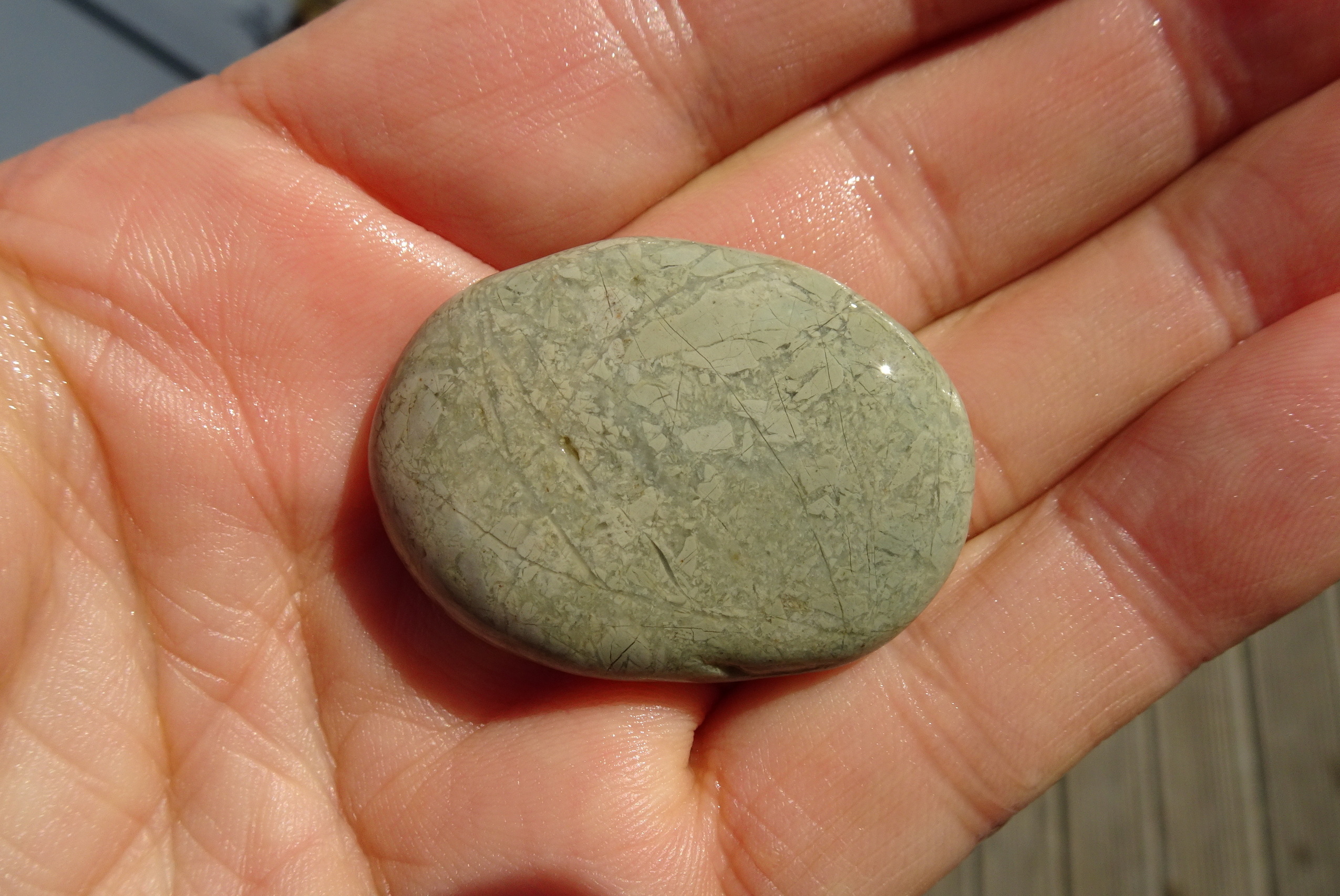 Monomictic brecciated argillite?