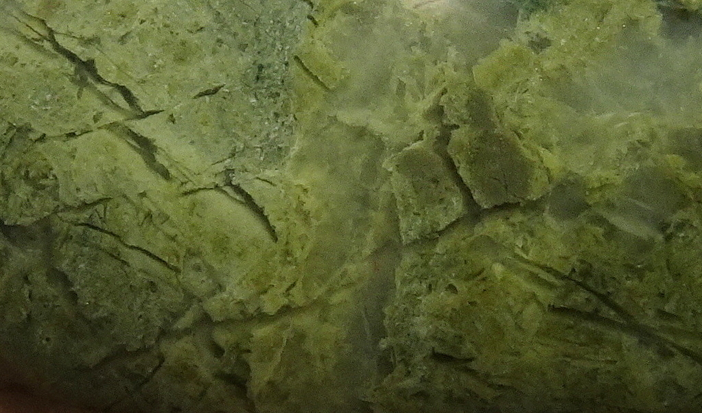 10bcc22