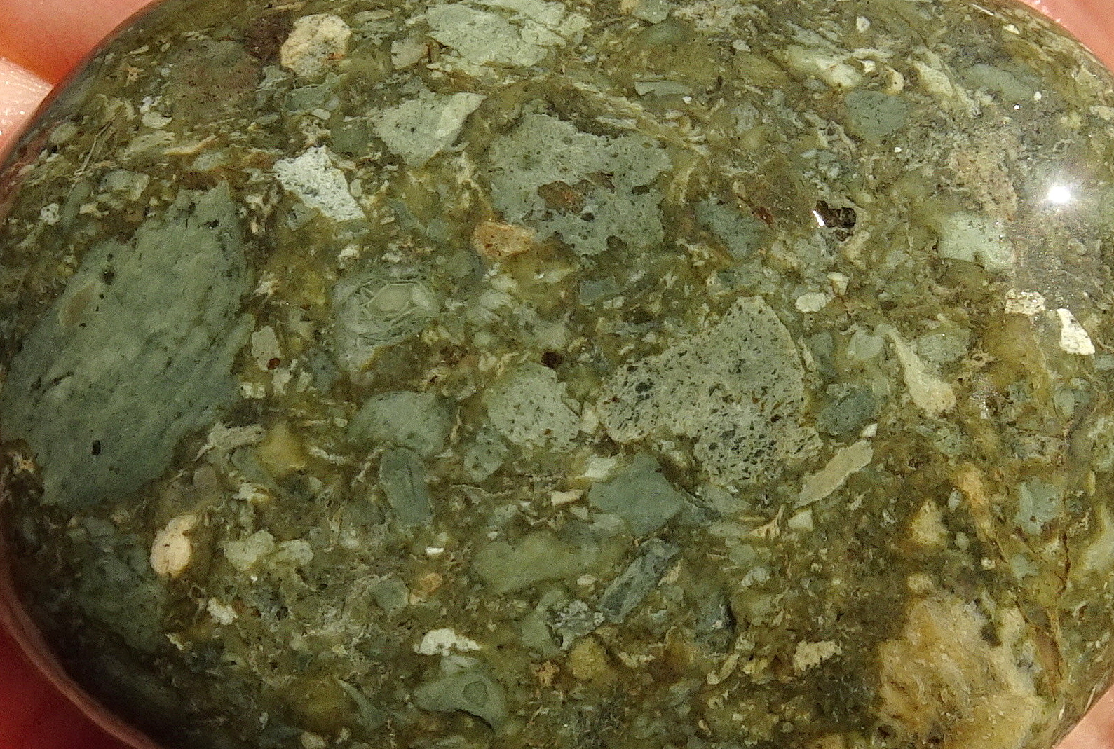 10bcc22a