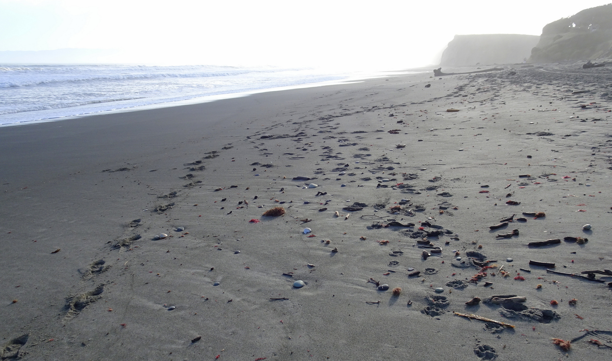 Sand on the beach, walking towards the Taunoa Stream.