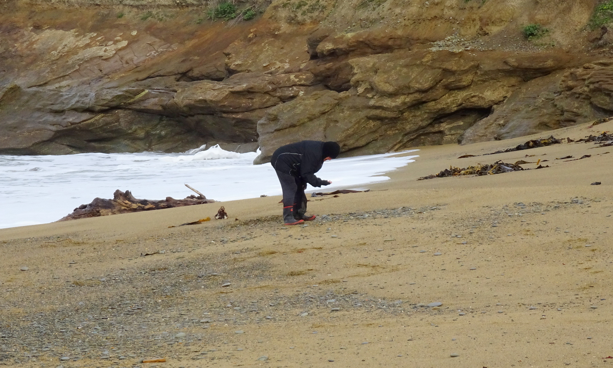 Shona rockhounding on Seadown Beach.