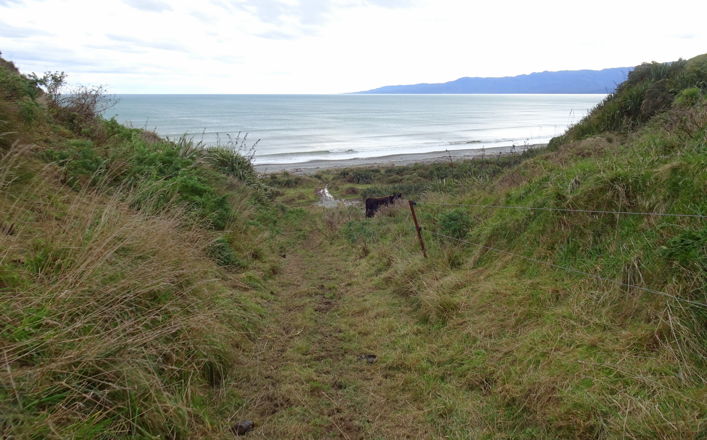 The track down to the beach.