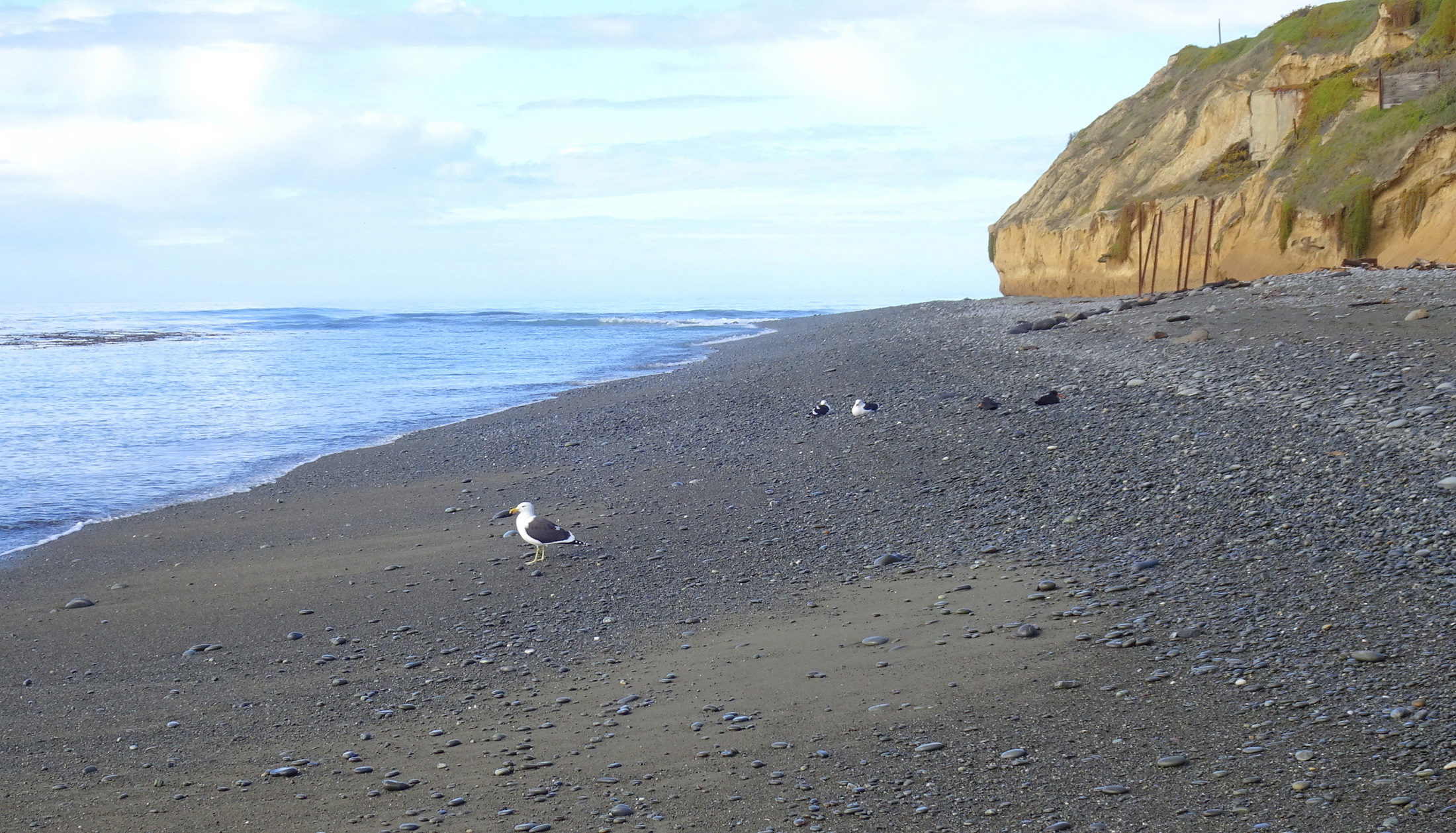 The stretch of beach leading to Mutu Mutu Point.