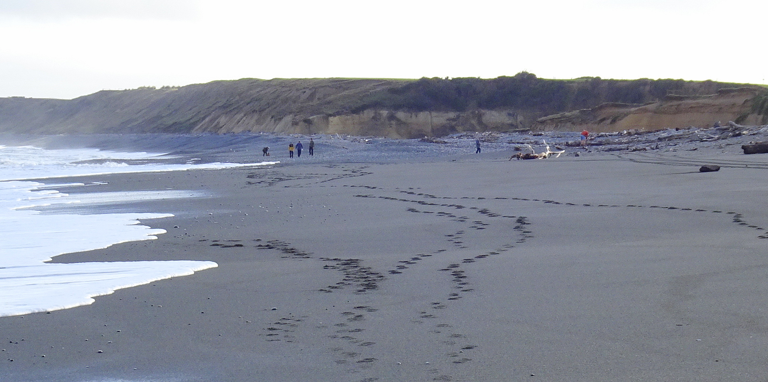 Looking in the distance to the mouth of the Waimeamea River.