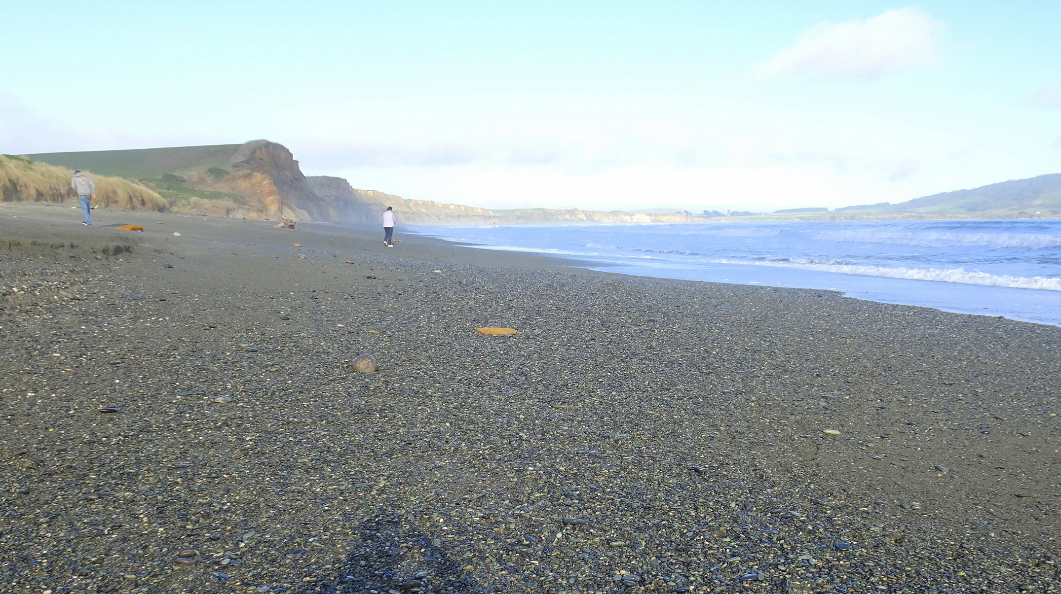 Looking back towards the carpark from the Taunoa Stream.