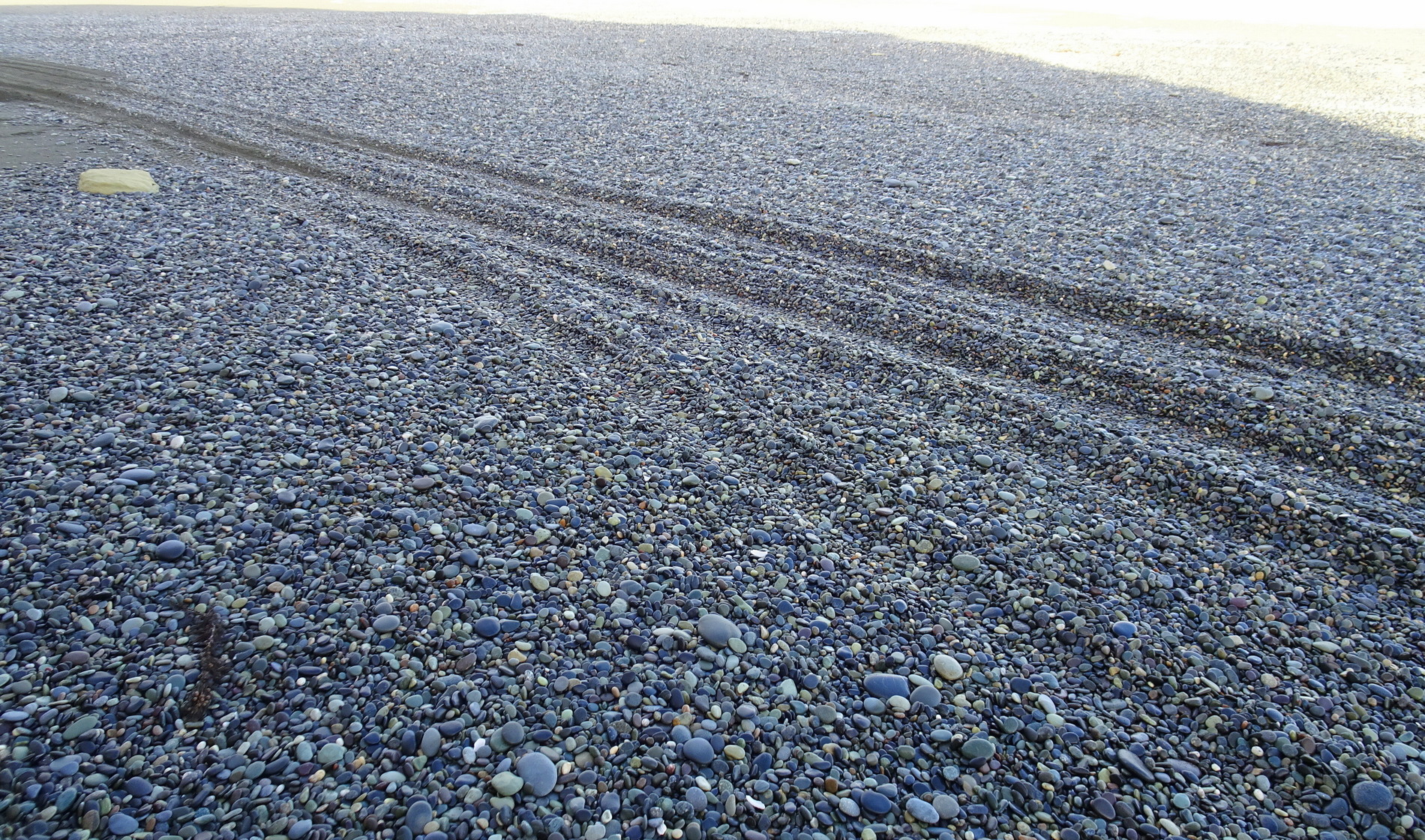ag