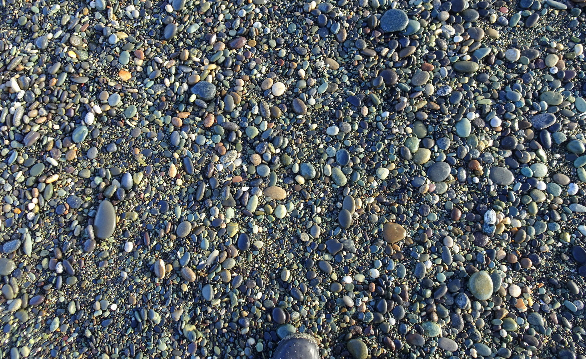 Gemstone Beach stones, near the Taunoa Stream.