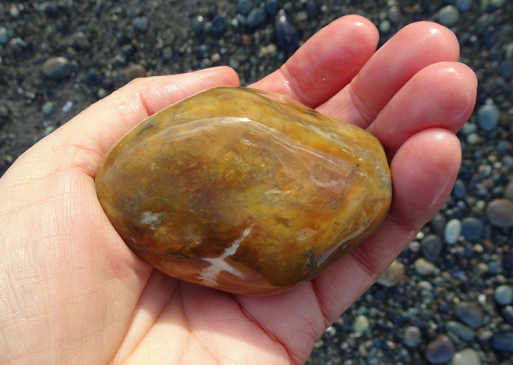 Chrissy's brown hydrogrossular garnet.