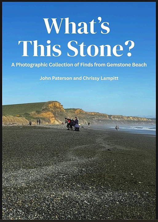 Current cover of draft book.
