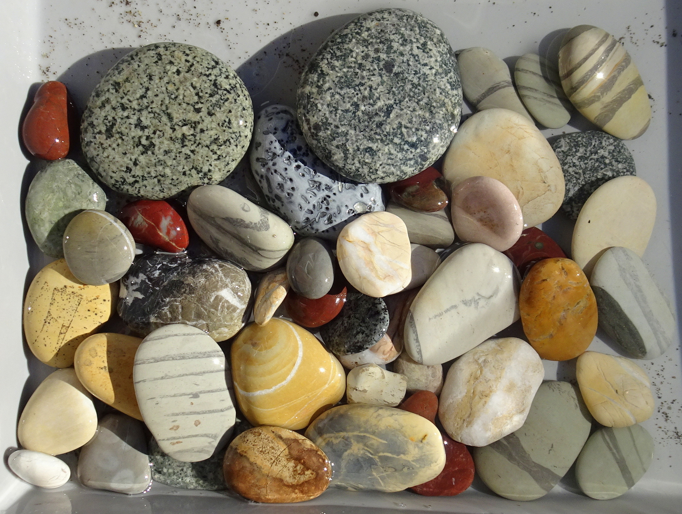 My Ward Beach finds today.