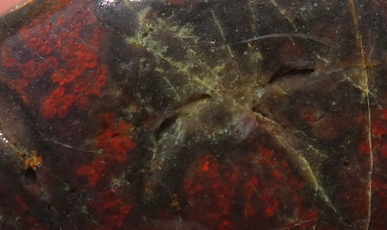 05bcc22