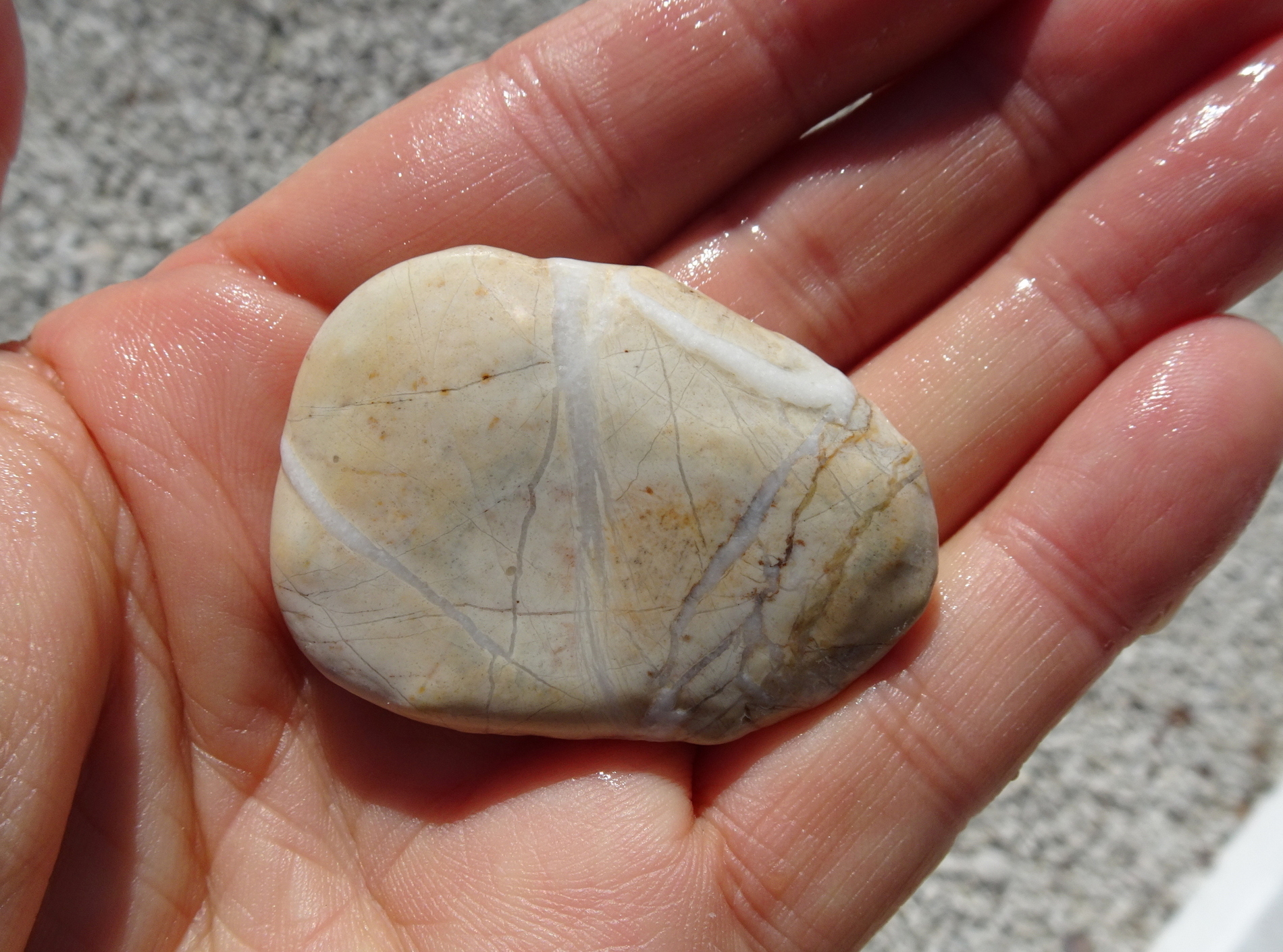 06a