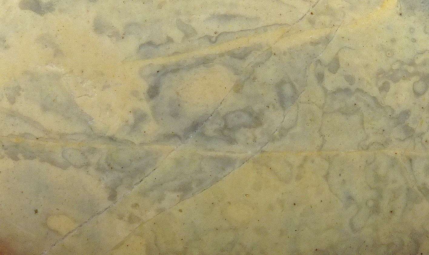 06cc22