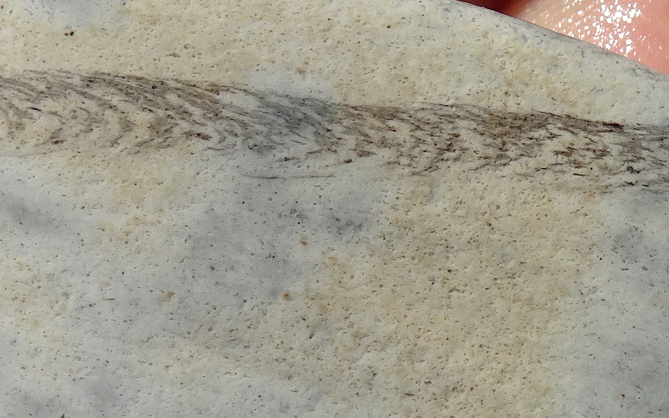 07cc22