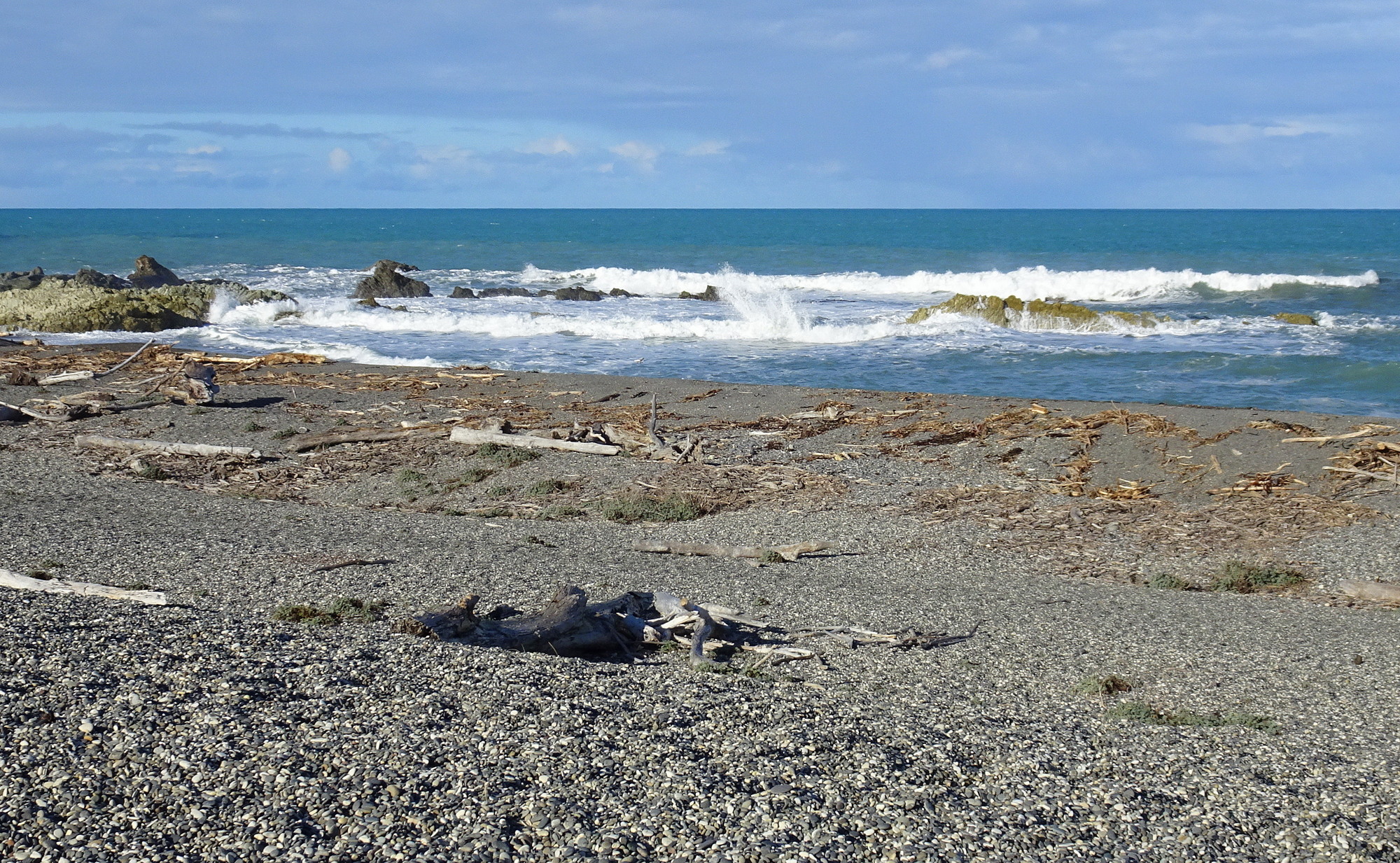 Ward Beach, looking north.