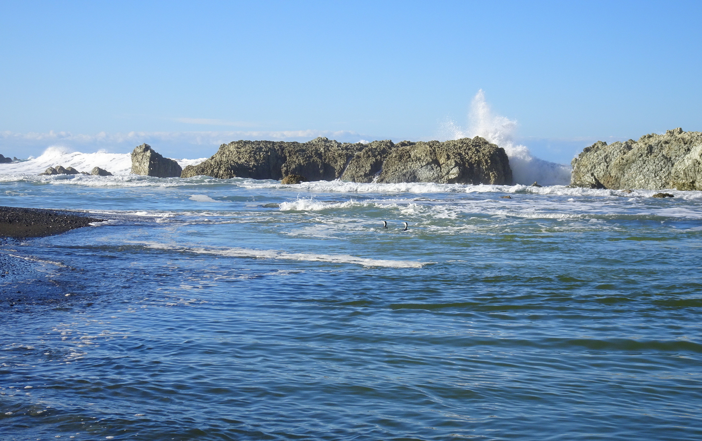 Two shags braved the turbulent water at the river mouth.