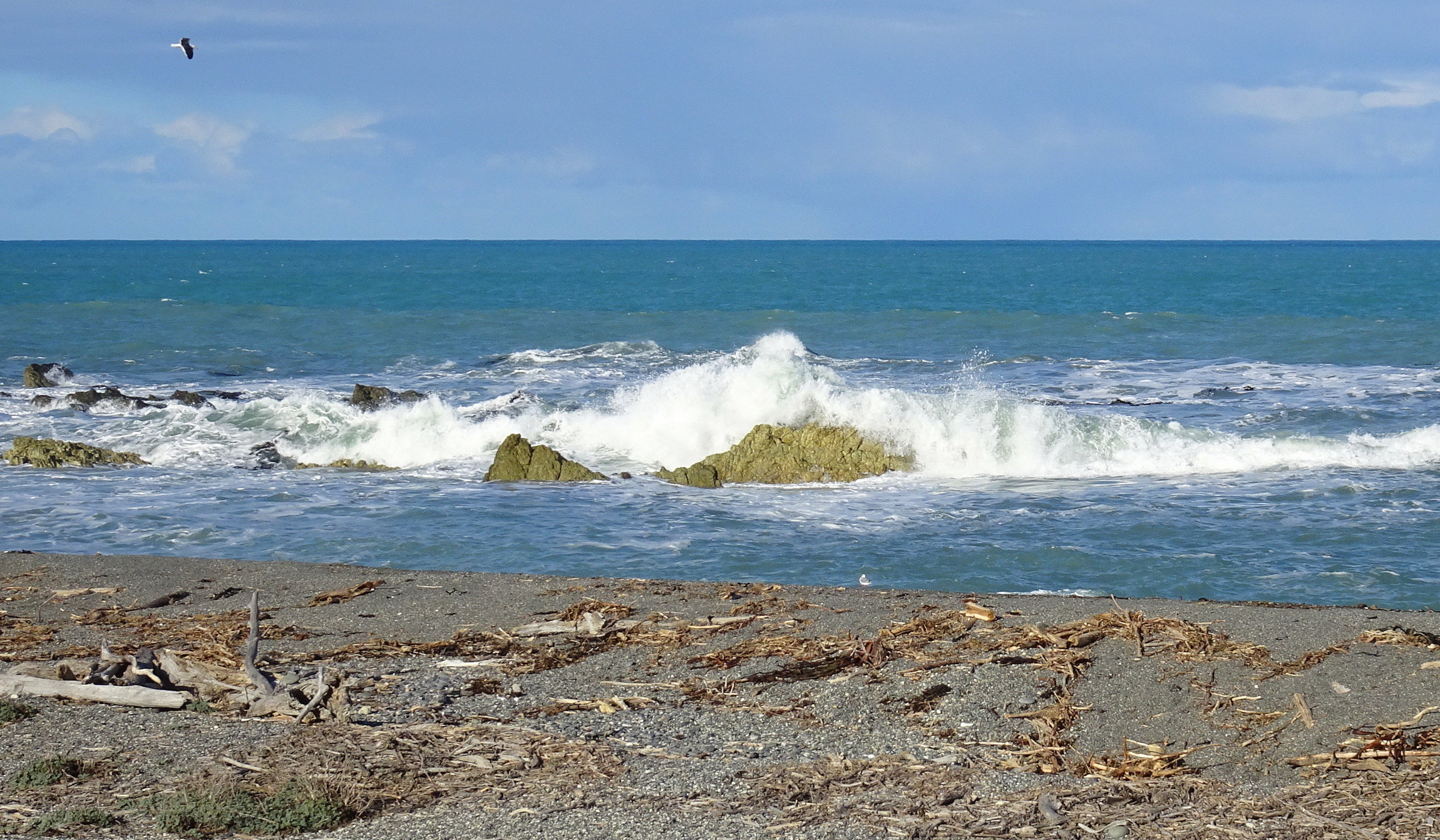 Powerful and ferocious waves, Ward Beach.