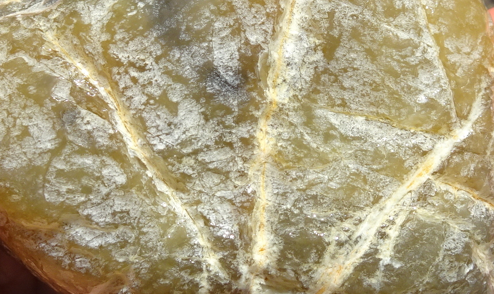 01bcc22