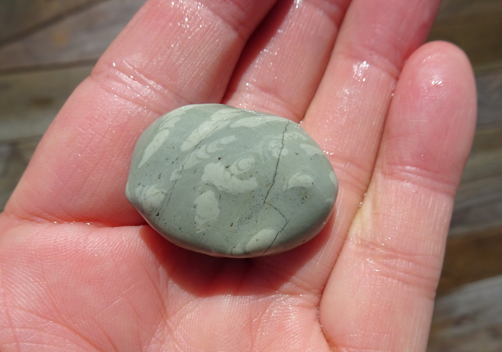 Another argillite stone with trace fossils.