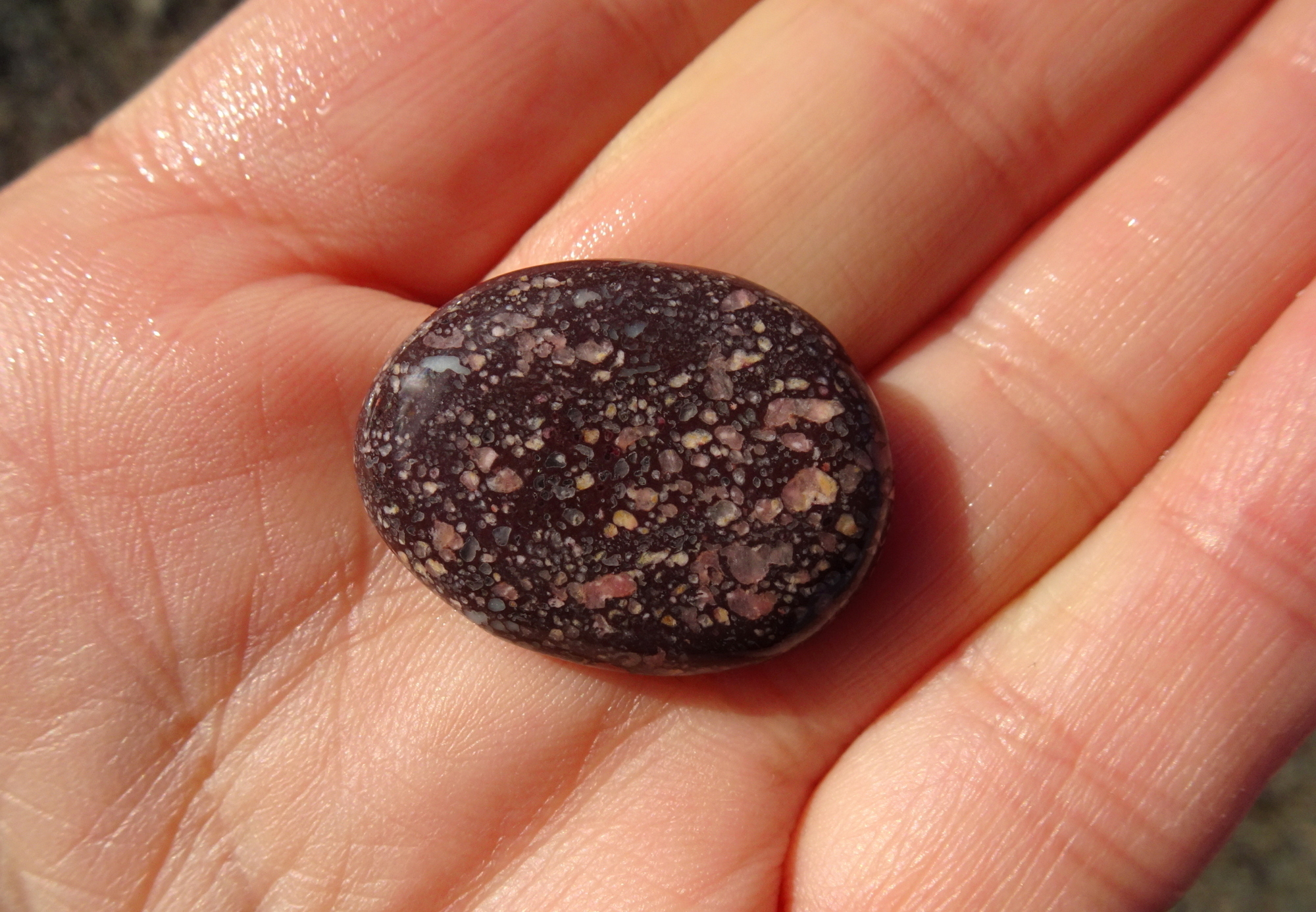 Small amygdaloidal basalt.