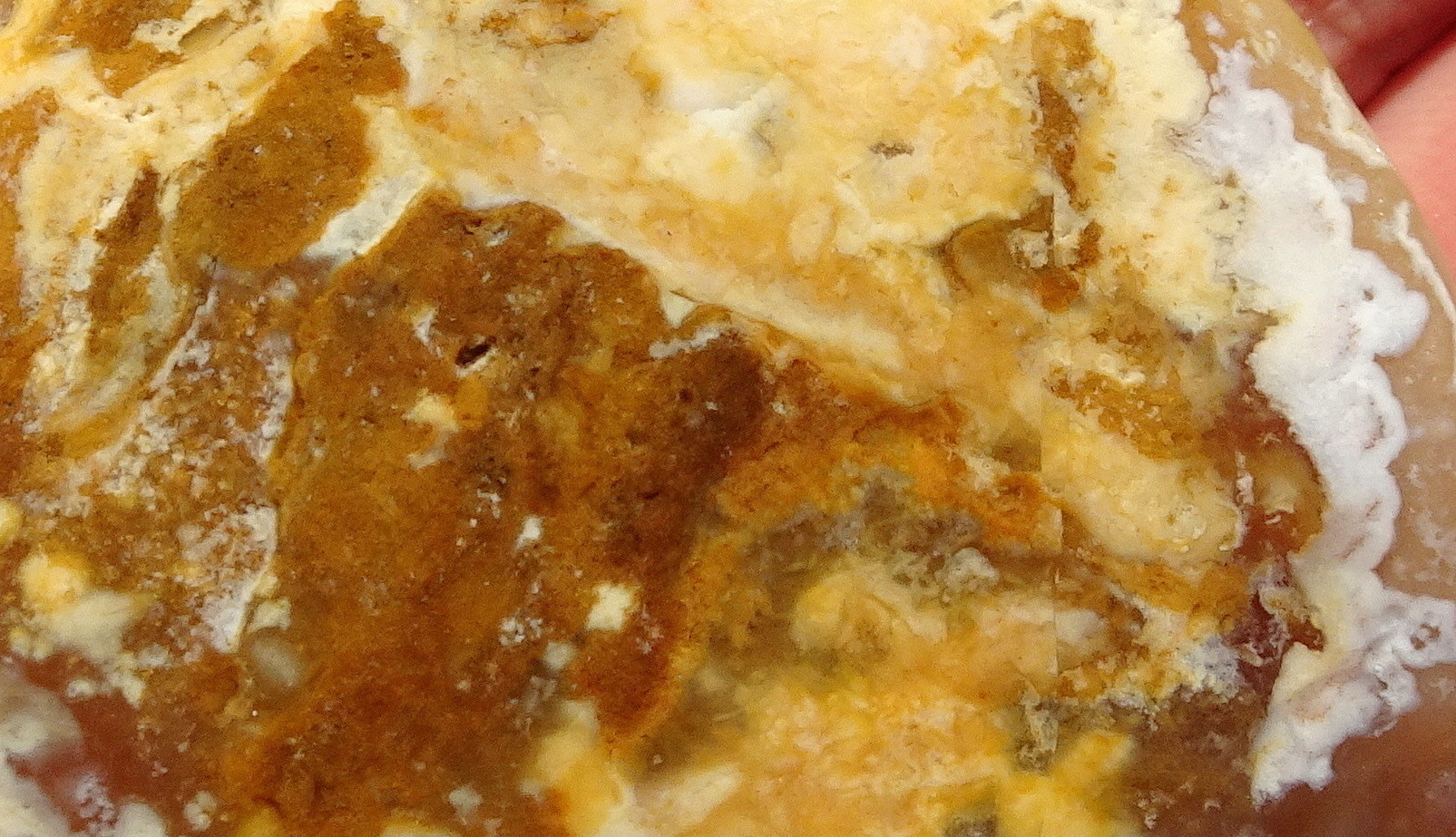03bcc22