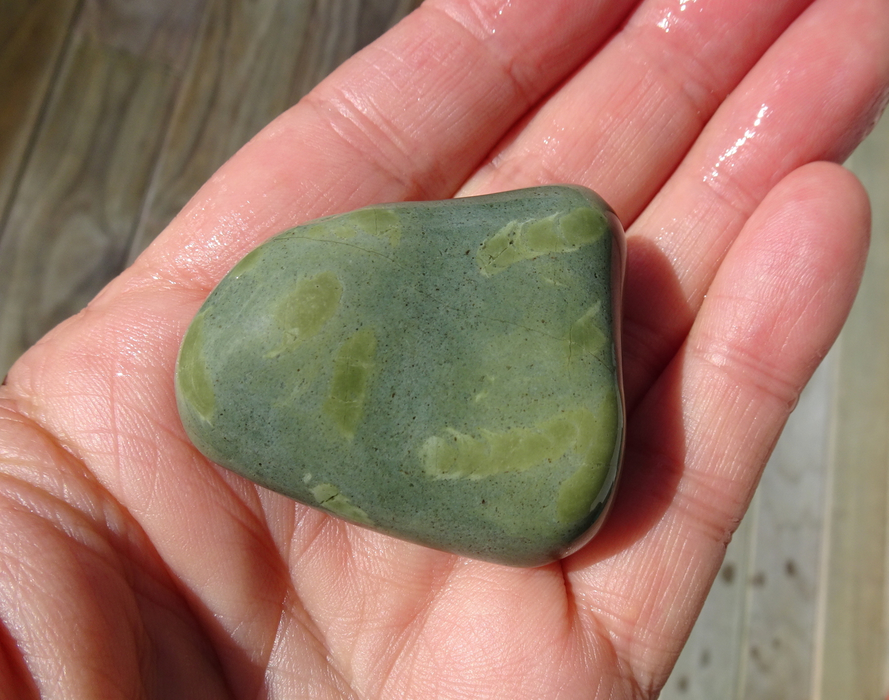Argillite with trace fossils.