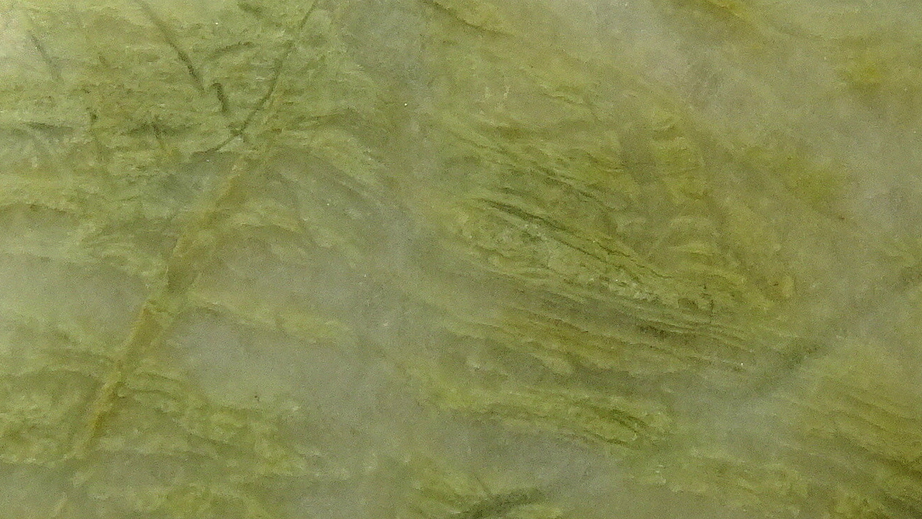 19cc22