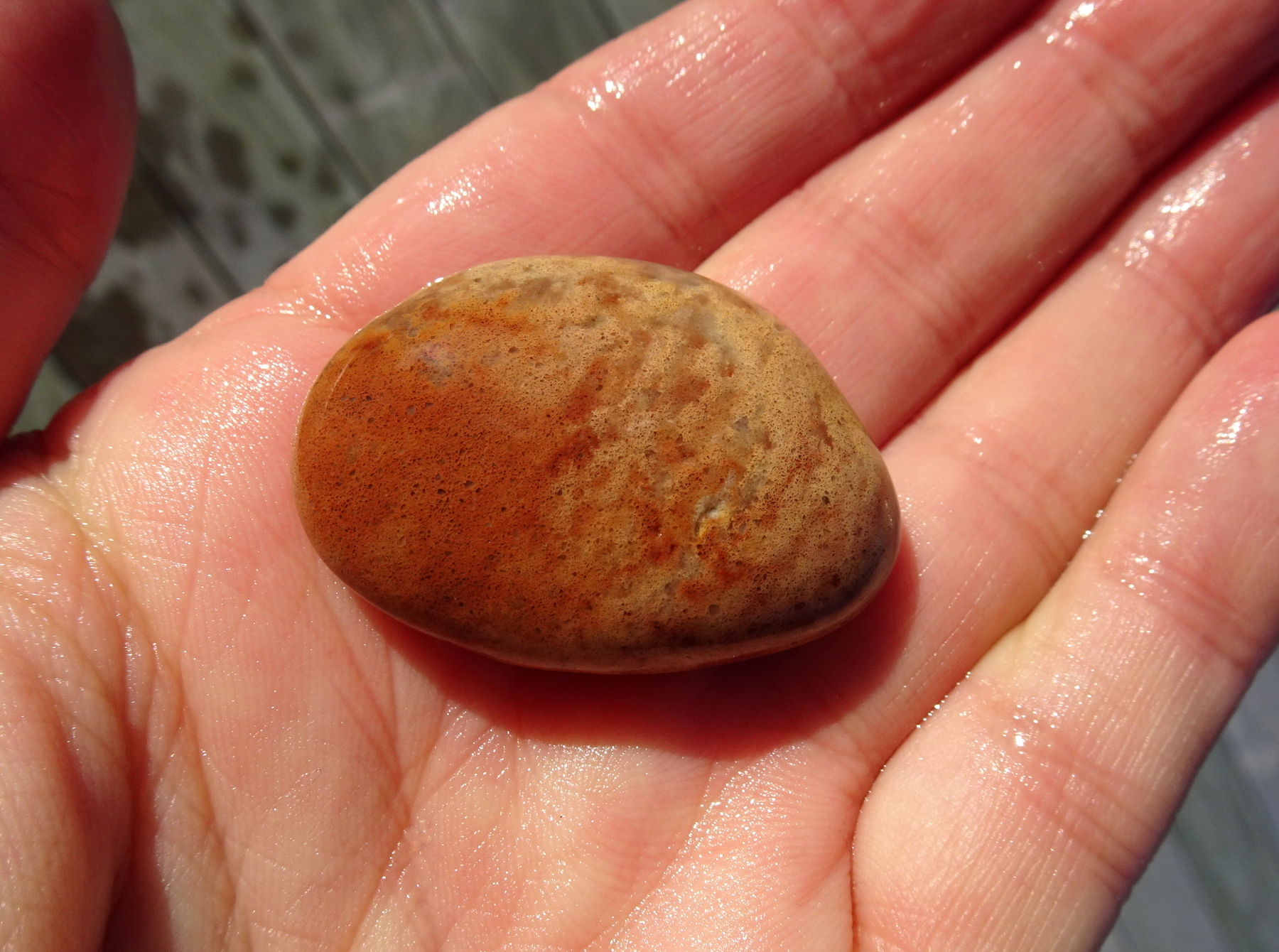 Red quartzite.